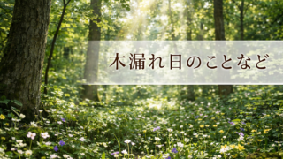 木漏れ日のことなど