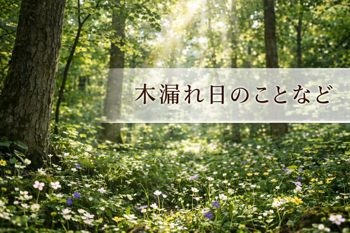 木漏れ日のことなど