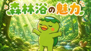森林浴の魅力──静けさの中に身をゆだねて