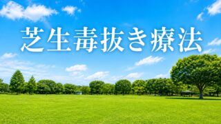 芝生毒抜き療法