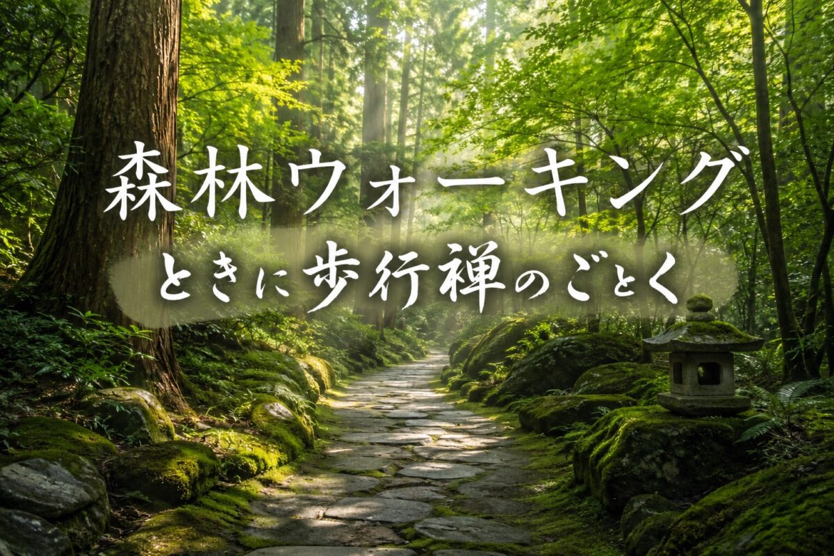 森林ウォーキング――ときに歩行禅のごとく