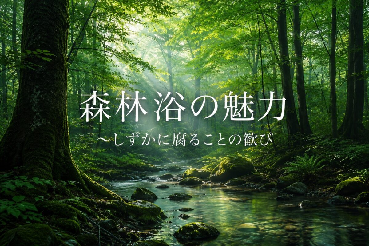 森林浴～しずかに腐ることの歓び